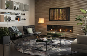 gas fireplace 1