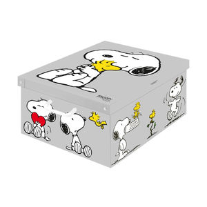 cardboard storage box