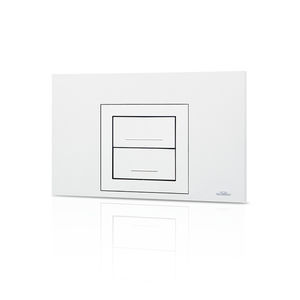 double toilet flush button