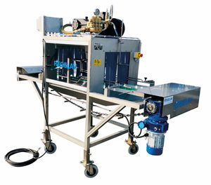 batch washer for the food industry