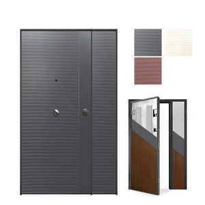 entry door 1