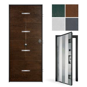 entry door 1