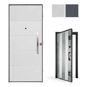 entry door 1