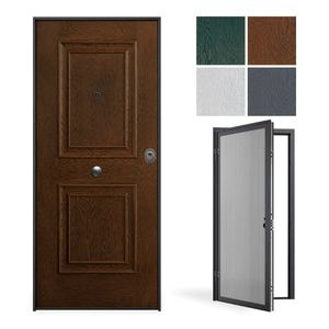 entry door 1