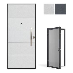 entry door 1