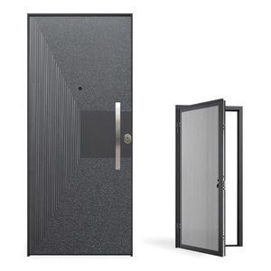 entry door 1