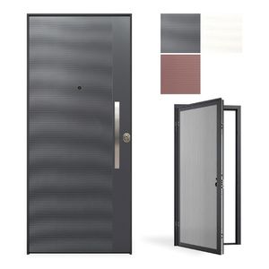 entry door 1