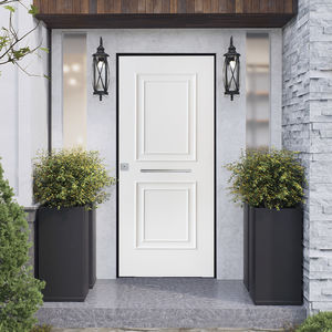 entry door 1