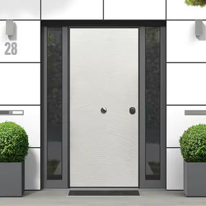 entry door 1