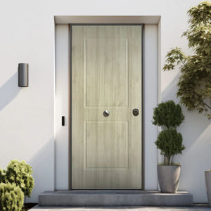 entry door 1