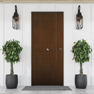 entry door 1