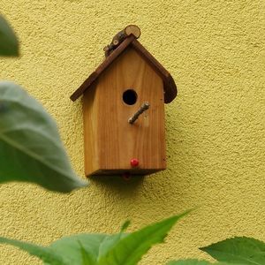 larch birdhouse