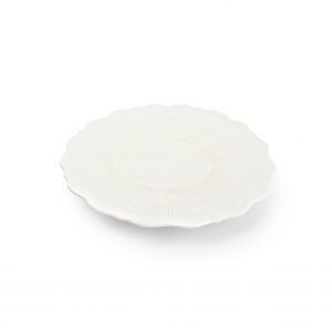 flat plate 1