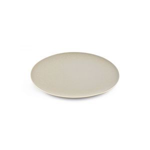 flat plate 1