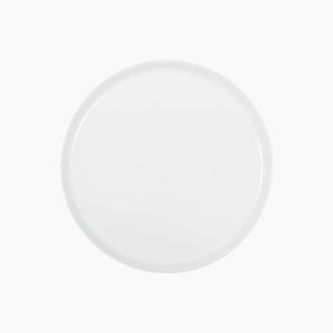 flat plate 1