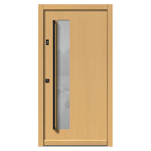 entry door
