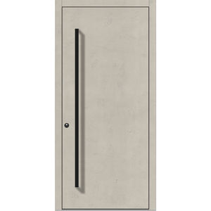 entry door