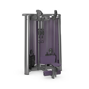biceps weight training machine