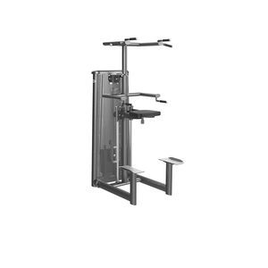 dips weight training machine