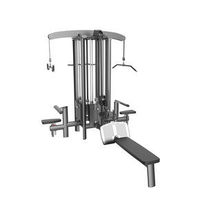 biceps weight training machine