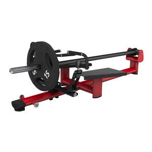 back weight training machine