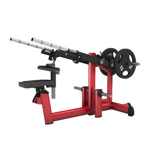 seated dips weight training machine