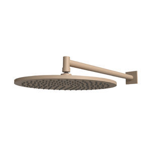 wall-mounted shower head