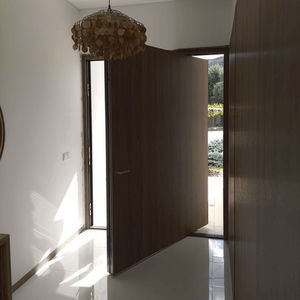 entry door 1