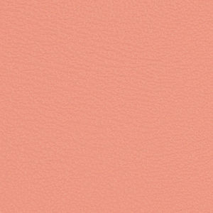 shoe fabric