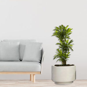 fiberglass plant pot