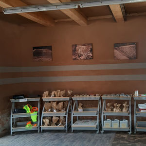 decorative paint