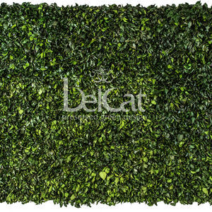 preserved green wall