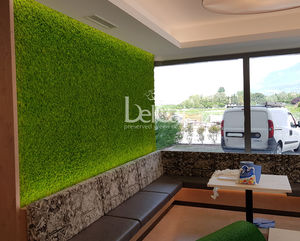 preserved green wall