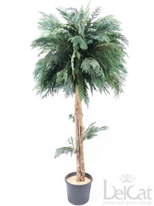 preserved-ornamental-plant
