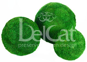 round preserved moss