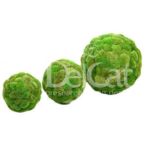 round preserved moss