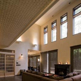 cedar ceiling 1