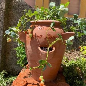 terracotta plant pot 1