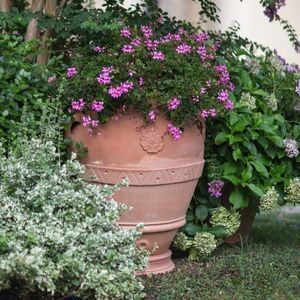 terracotta flower pot 1
