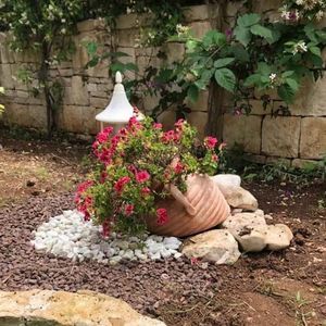 terracotta flower pot 1