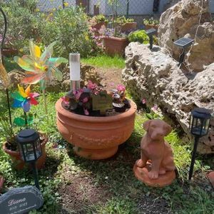 terracotta planter 1