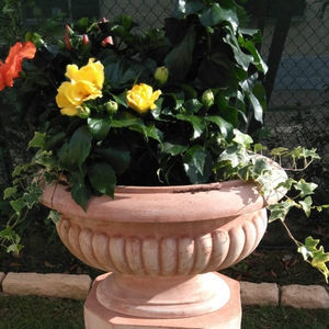 terracotta planter 1