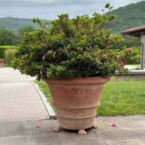 terracotta plant pot 1
