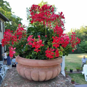terracotta planter 1