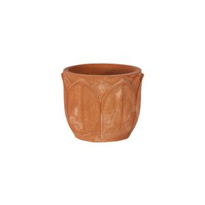 terracotta flower pot