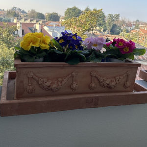 terracotta planter 1
