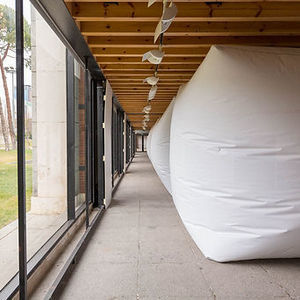 special event inflatable structure