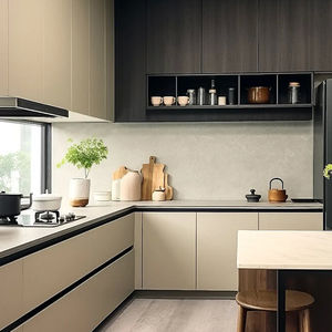 contemporary kitchen