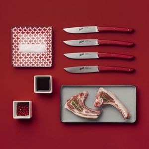 steak knife with plastic handle 1