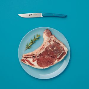 steak knife with plastic handle 1